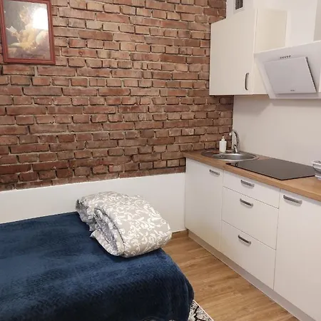 Apartment Mieszkanie #1- Kawalerka Na 1-2 Osoby Z Kuchnia I Lazienka